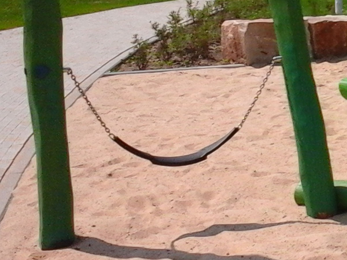 Bauchschwinger Robinie 